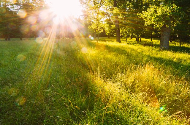 20 de containere anticanicula, amplasate in cele mai aglomerate zone din Capitala