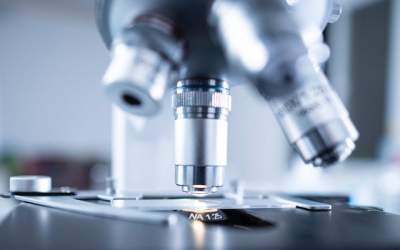 Celulele stem au propriul...