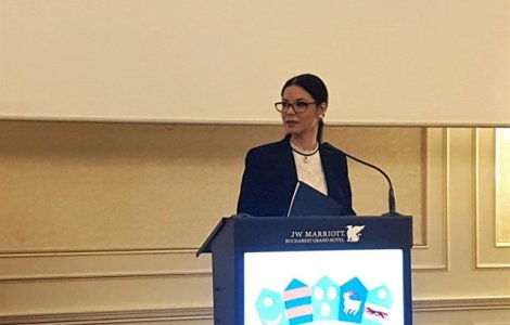 Ana Birchall: Recuperarea fiecarui leu furat statului roman sa fie o prioritate