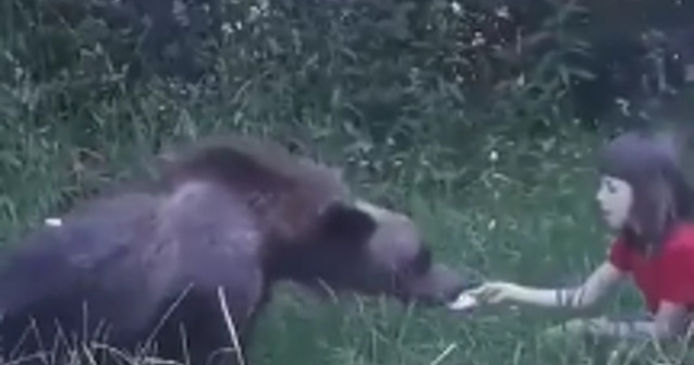 O fetita a fost filmata in timp ce hranea un urs, pe Transfagarasan/ VIDEO