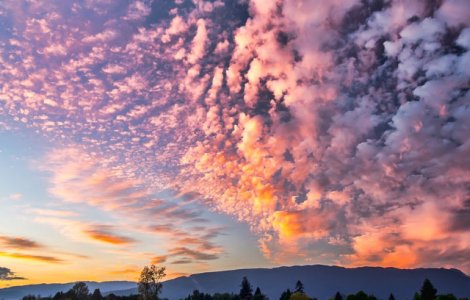 Cod GALBEN de ploi in aproape jumatate de tara. Informare de canicula, pana joi dimineata