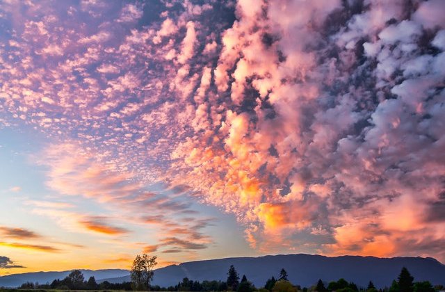 Cod GALBEN de ploi in aproape jumatate de tara. Informare de canicula, pana joi dimineata