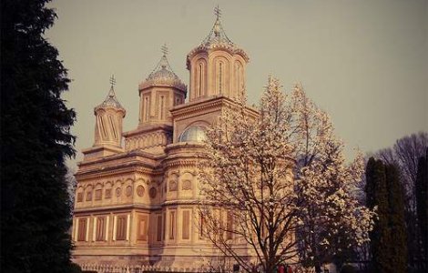 Hasotti cere sistarea prelevarii de ADN a voievozilor romani