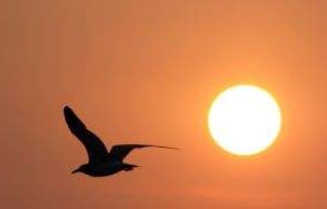 Meteo: Cum va fi vremea in weekend?