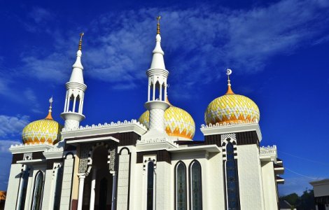 O femeie din Indonezia, acuzata de blasfemie, dupa ce intrat cu un caine intr-o moschee/ VIDEO