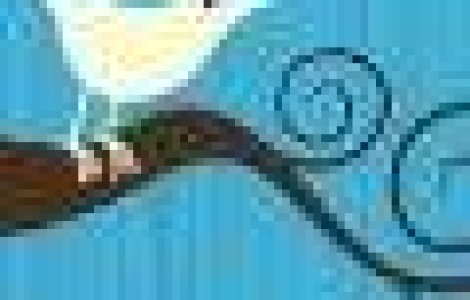 Armata americana recruteaza pe Facebook si Twitter