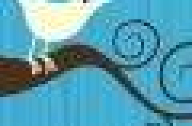 Armata americana recruteaza pe Facebook si Twitter