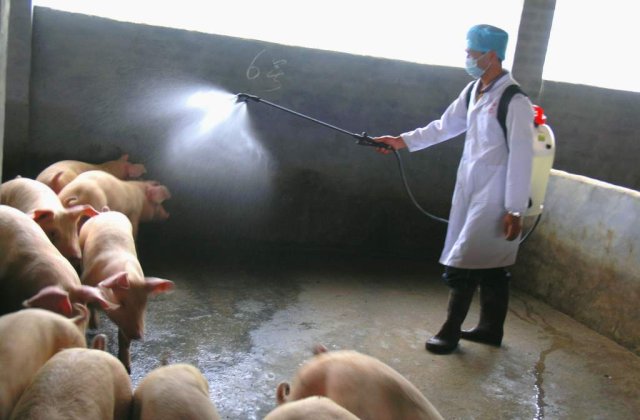 Spitalele de boli infectioase se pregatesc pentru o eventuala pandemie de gripa porcina