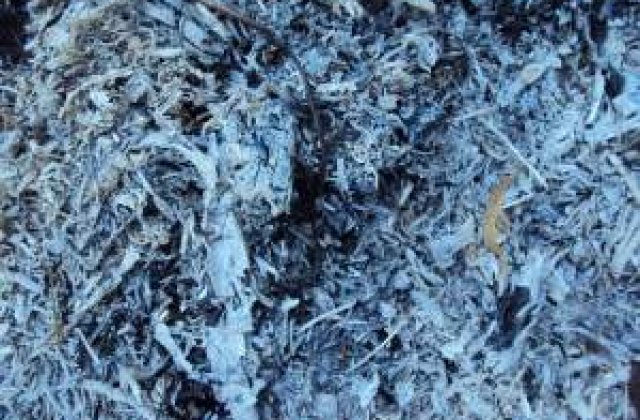 Incendii de vegetatie in Valencia si Barcelona