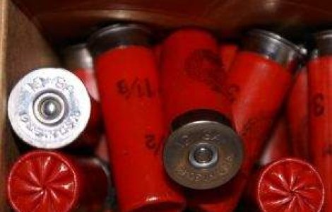 Ministrul Mediului: Vanatoarea in Delta Dunarii va fi interzisa