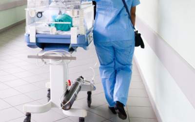 Malnutritia si lipsa...