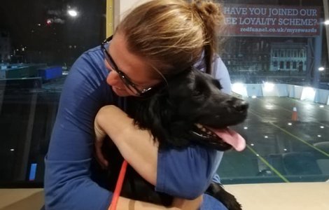 O familie si-a gasit cainele pierdut in urma cu sase ani/ VIDEO