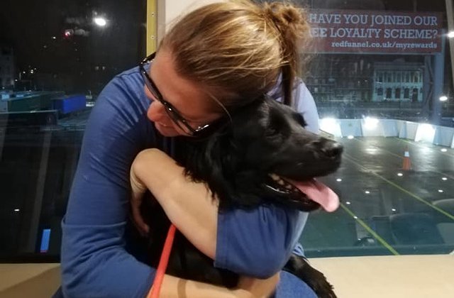 O familie si-a gasit cainele pierdut in urma cu sase ani/ VIDEO