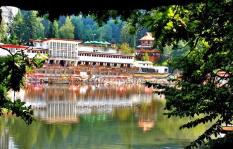 Destinatie in Romania: Arboretele de pe saraturi de la Sovata, loc unic in lume