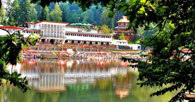Destinatie in Romania: Arboretele de pe saraturi de la Sovata, loc unic in lume
