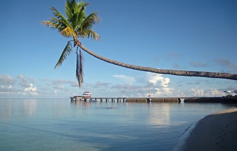 Cutremur de 6,9 grade in Indonezia