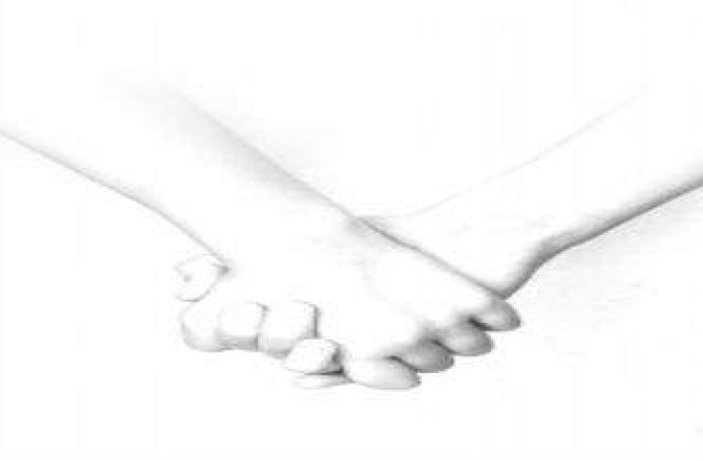 Franta: Cuplurile de gay vor putea adopta copii din 2013