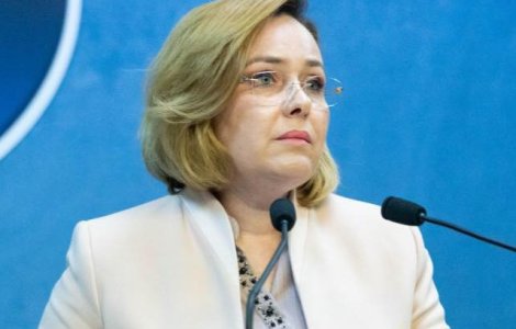 Carmen Dan: Este necesara imbunatatirea legislatiei electorale, in sensul eliminarii pazei armate de la sectiile de vot