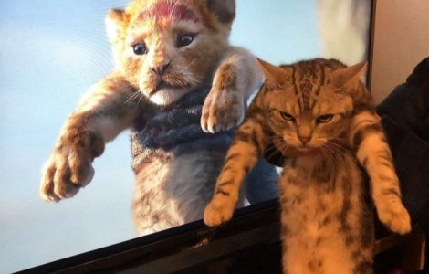  Top  10+ imagini comparative impresionante care ofera o alta perspectiva asupra lucrurilor