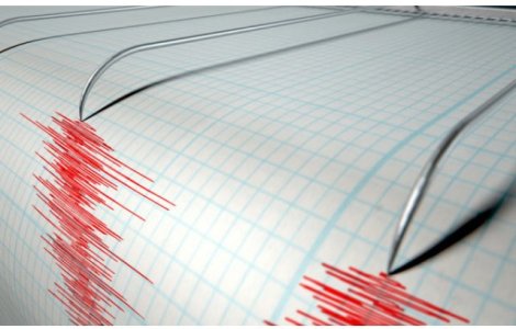 Cutremur cu magnitudinea 3,5 in judetul Vrancea