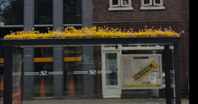 Sute de statii de autobuz transformate in oaze de verdeata in Olanda