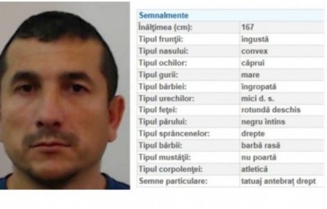 Un detinut incarcerat la Penitenciarul Arad si aflat la un punct de lucru din Timisoara a evadat