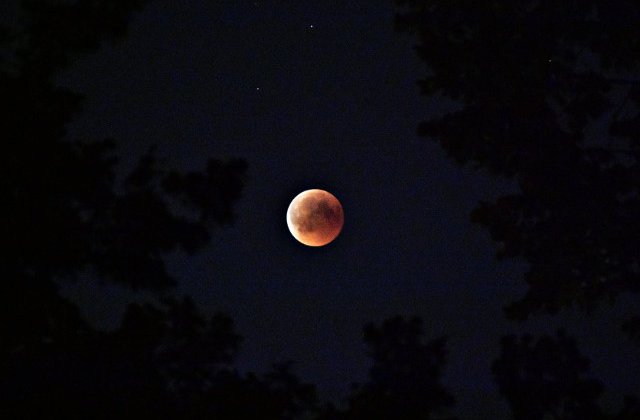 Eclipsa partiala de Luna, vizibila in Romania in noaptea de marti spre miercuri