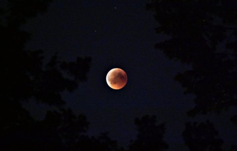 Eclipsa partiala de Luna, vizibila in Romania in noaptea de marti spre miercuri