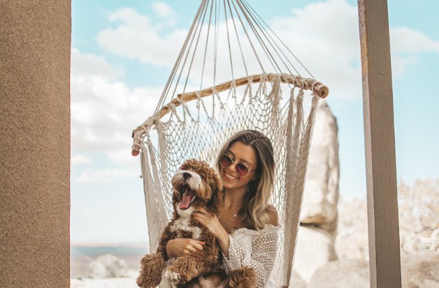 10 mituri despre caini pe care ar trebui sa nu le mai crezi