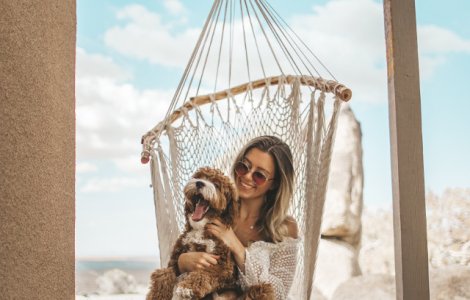  Top  10 mituri despre caini pe care ar trebui sa nu le mai crezi