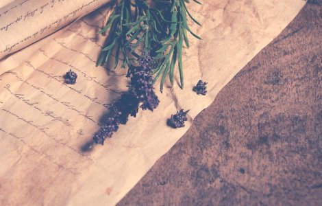 O scrisoare a ajuns la destinatie dupa 26 de ani de la expediere: "Este intr-o stare foarte buna"