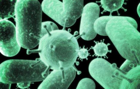 Noul virus al gripei are doua gene de la virusuri porcine depistate numai in Europa