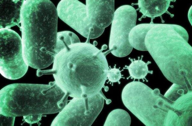 Noul virus al gripei are doua gene de la virusuri porcine depistate numai in Europa