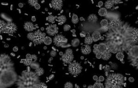 Cercetatorii au reinviat o forma de viata disparuta acum 500 mil. de ani