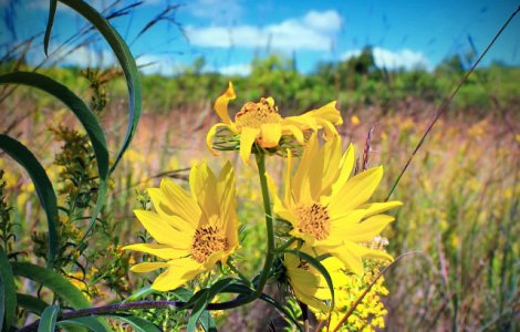 Se incalzeste vremea in weekend. Temperaturi de peste 30 de grade in mare parte din tara