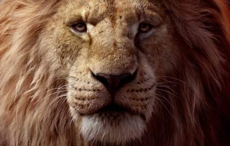 Premiera: Filmul "The Lion King" apare astazi in cinematografe