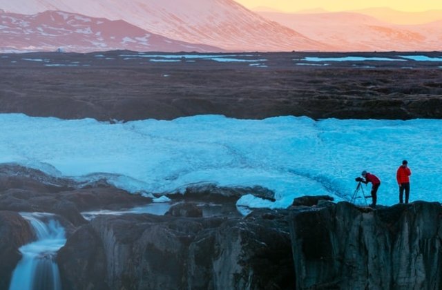 Hoti cu imaginatie. 8 lucruri ciudate pe care oamenii le-au furat de-a lungul timpului