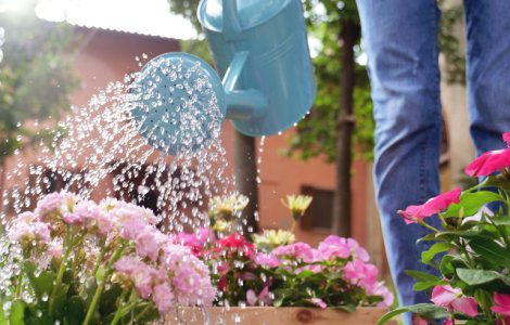  Top  15+ curiozitati despre apa. Cata apa folosesti la un dus de 5 minute?