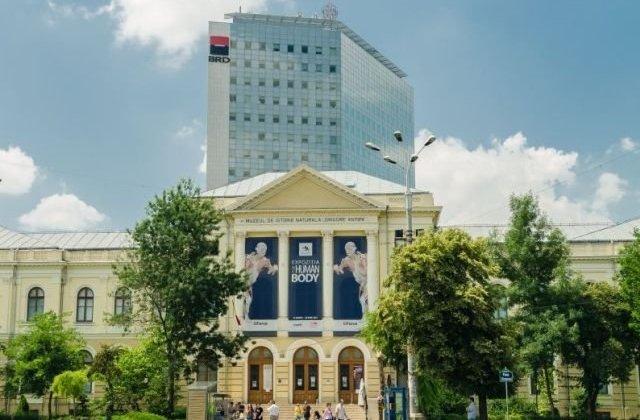 USR solicita Ministerului Culturii sa nu comaseze muzeele din Capitala