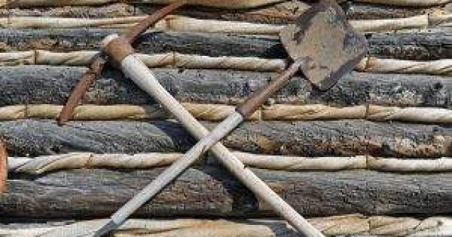 ANIF, reclamata la DNA pentru o paguba de 8 milioane de euro