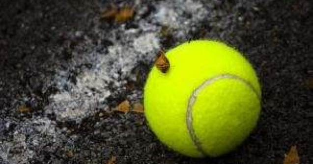 Sorana Carstea s-a calificat in sferturile turneului de la Stanford