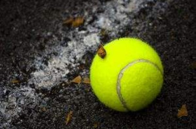 Sorana Carstea s-a calificat in sferturile turneului de la Stanford