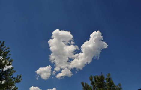  Top  5 cupluri celebre care s-au destramat in 2012