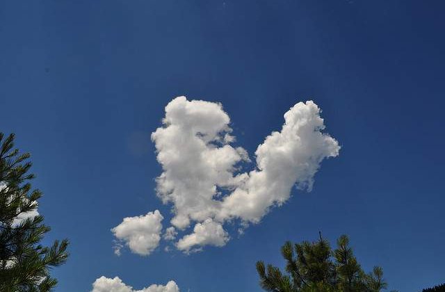 5 cupluri celebre care s-au destramat in 2012