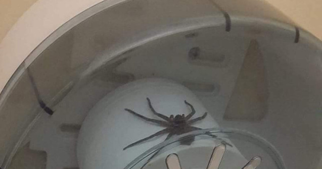  Top  Numai in pielea lor sa nu fii: 15+ patanii de pomina ale oamenilor, in imagini de nedescris