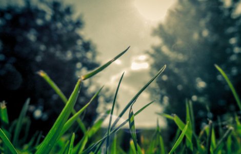 Vremea se va raci in aceasta saptamana. Temperaturi in crestere la sfarsitul lunii iulie