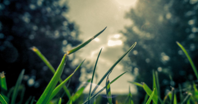 Vremea se va raci in aceasta saptamana. Temperaturi in crestere la sfarsitul lunii iulie