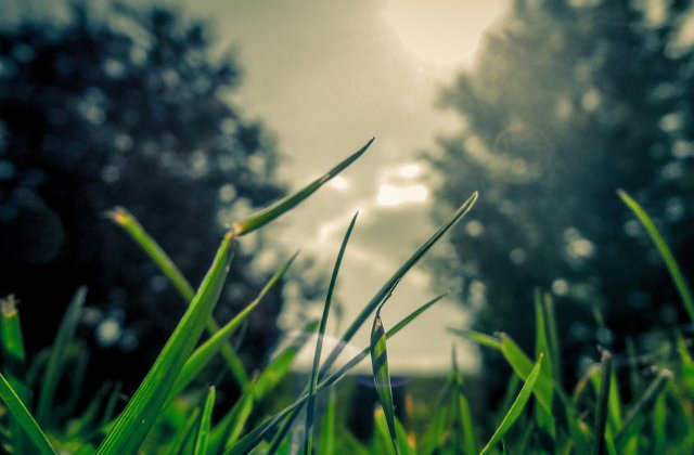 Vremea se va raci in aceasta saptamana. Temperaturi in crestere la sfarsitul lunii iulie