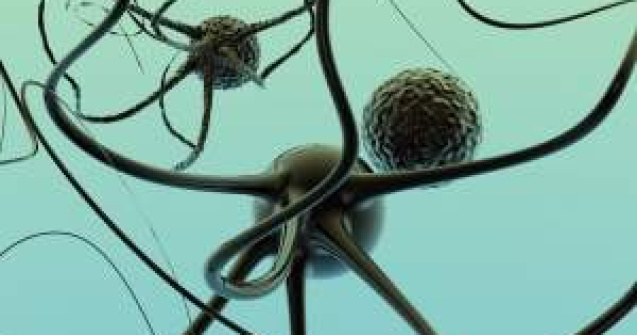 Celulele sangvine din cordonul ombilical se pot transforma in neuroni functionali