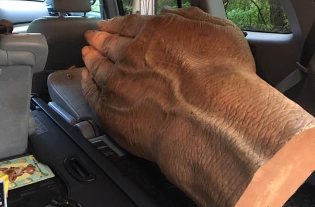 15 cele mai ciudate lucruri second hand care "si-au gasit" in cele din urma un proprietar